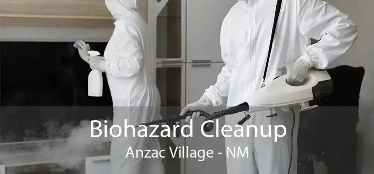Biohazard Cleanup Anzac Village - NM