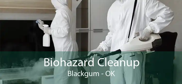 Biohazard Cleanup Blackgum - OK