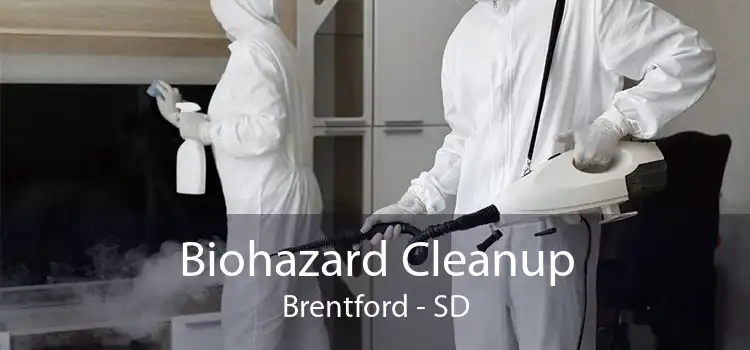 Biohazard Cleanup Brentford - SD