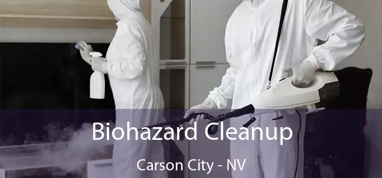  Biohazard Cleanup Carson City - NV
