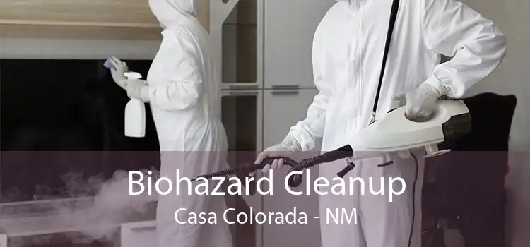 Biohazard Cleanup Casa Colorada - NM