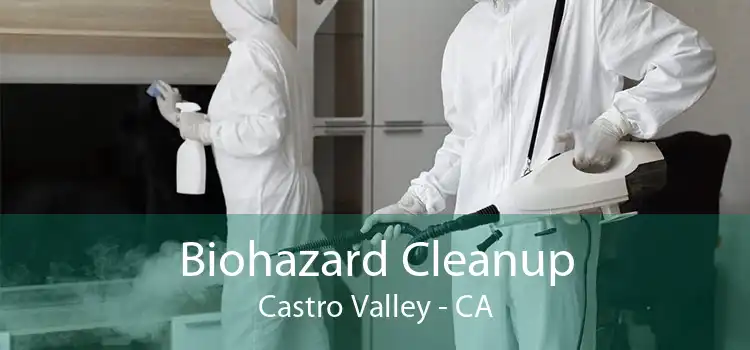 Biohazard Cleanup Castro Valley - CA
