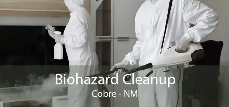Biohazard Cleanup Cobre - NM