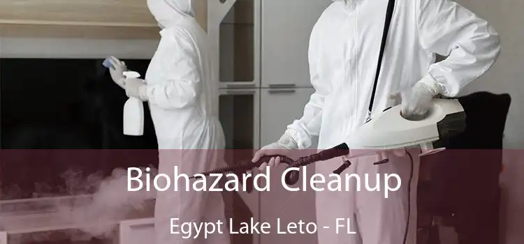  Biohazard Cleanup Egypt Lake Leto - FL