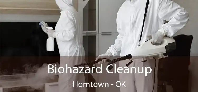  Biohazard Cleanup Horntown - OK