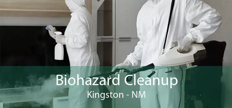 Biohazard Cleanup Kingston - NM