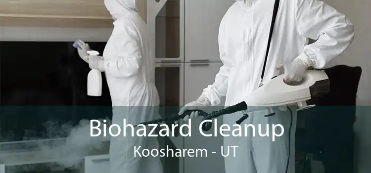 Biohazard Cleanup Koosharem - UT