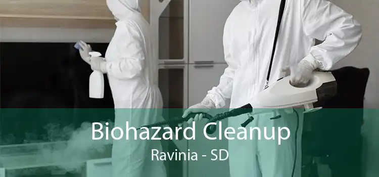 Biohazard Cleanup Ravinia - SD