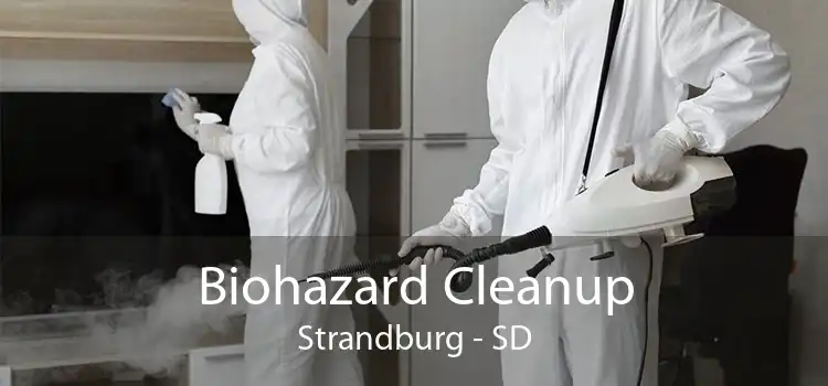 Biohazard Cleanup Strandburg - SD