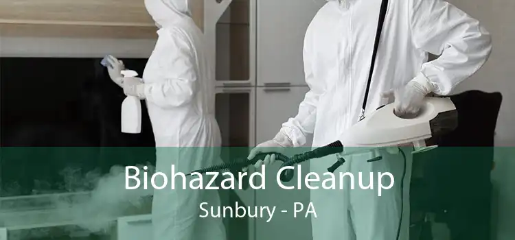 Biohazard Cleanup Sunbury - PA