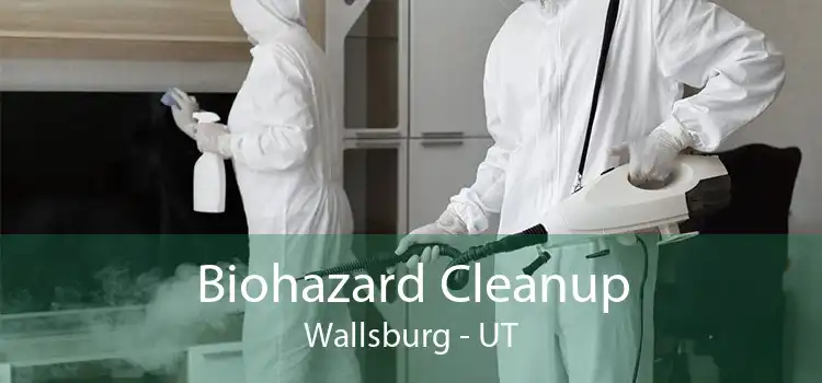 Biohazard Cleanup Wallsburg - UT