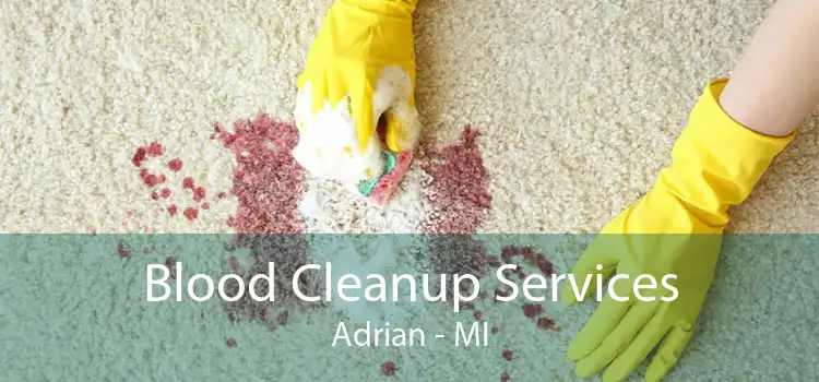 Blood Cleanup Services Adrian - MI