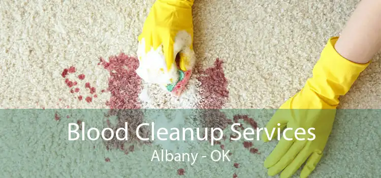 Blood Cleanup Services Albany - OK