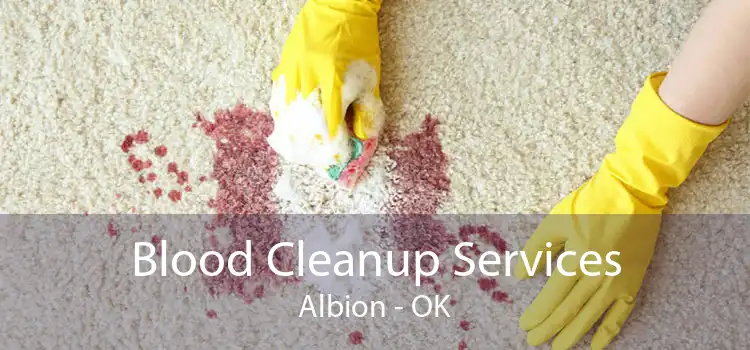 Blood Cleanup Services Albion - OK