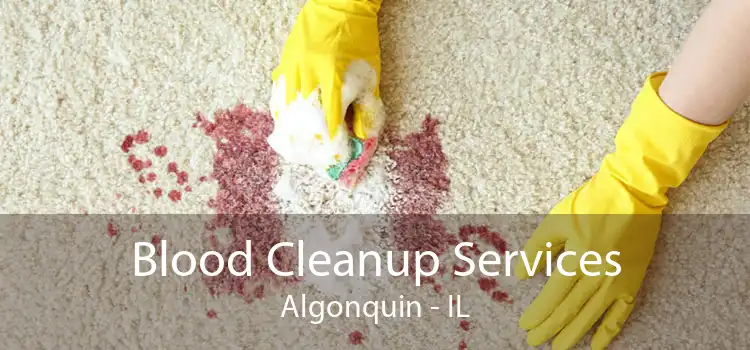 Blood Cleanup Services Algonquin - IL