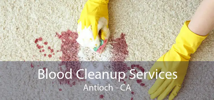 Blood Cleanup Services Antioch - CA
