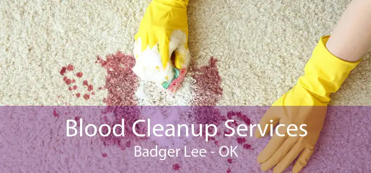Blood Cleanup Services Badger Lee - OK
