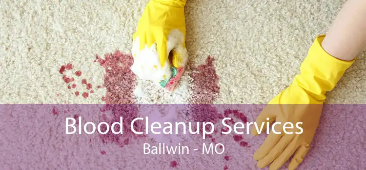 Blood Cleanup Services Ballwin - MO