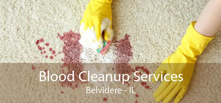 Blood Cleanup Services Belvidere - IL
