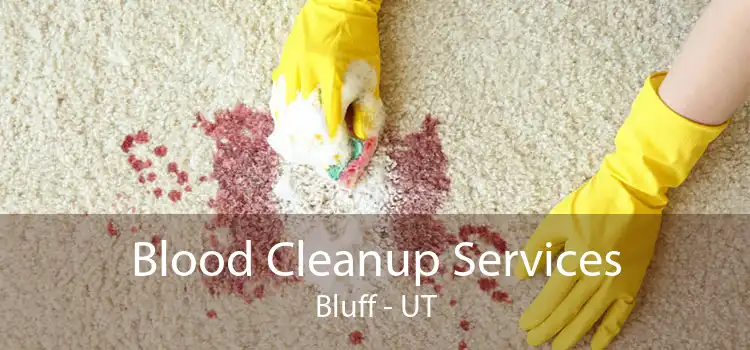 Blood Cleanup Services Bluff - UT