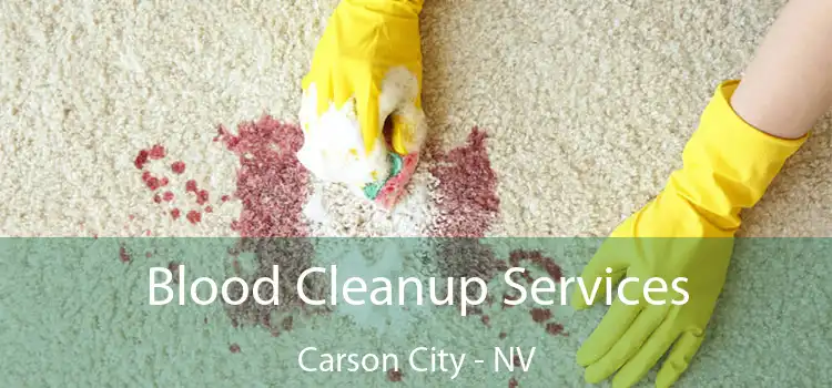  Blood Cleanup Services Carson City - NV