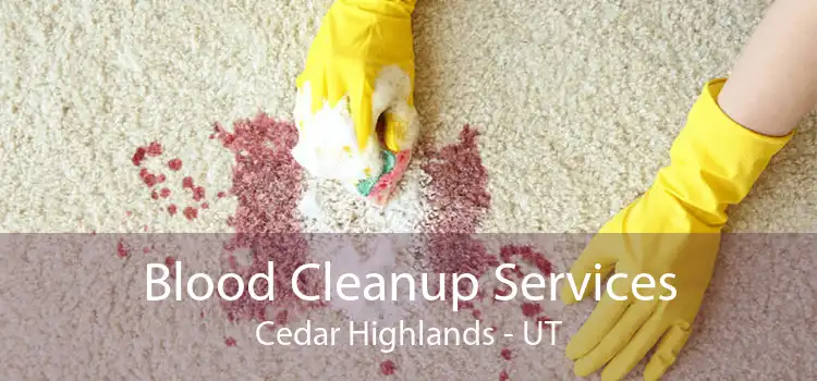 Blood Cleanup Services Cedar Highlands - UT