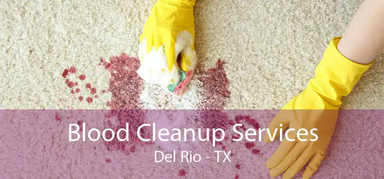 Blood Cleanup Services Del Rio - TX