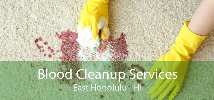 Blood Cleanup Services East Honolulu - HI