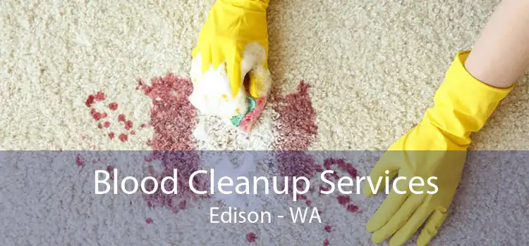 Blood Cleanup Services Edison - WA