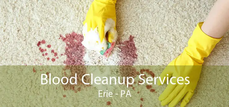 Blood Cleanup Services Erie - PA