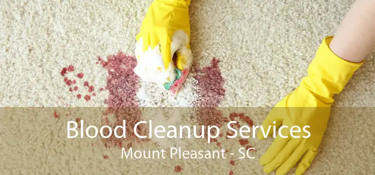 Blood Cleanup Services Mount Pleasant - SC