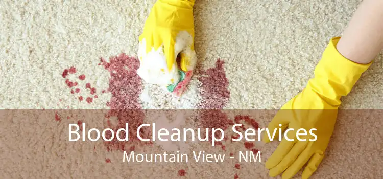 Blood Cleanup Services Mountain View - NM