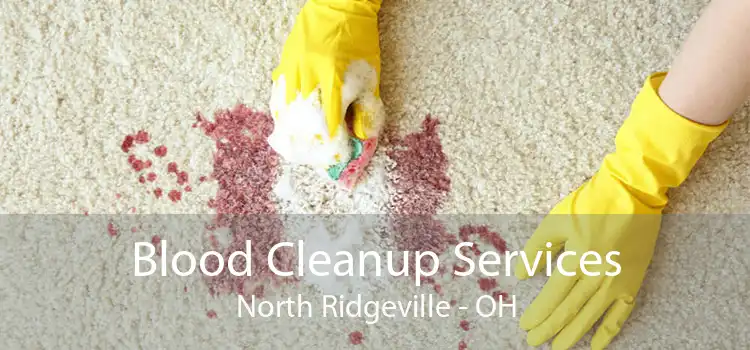 Blood Cleanup Services North Ridgeville - OH