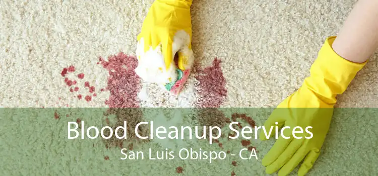 Blood Cleanup Services San Luis Obispo - CA