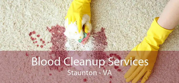 Blood Cleanup Services Staunton - VA