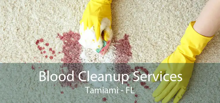 Blood Cleanup Services Tamiami - FL