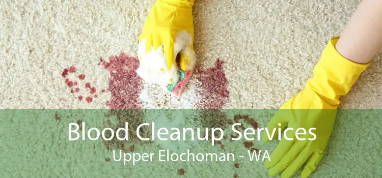 Blood Cleanup Services Upper Elochoman - WA
