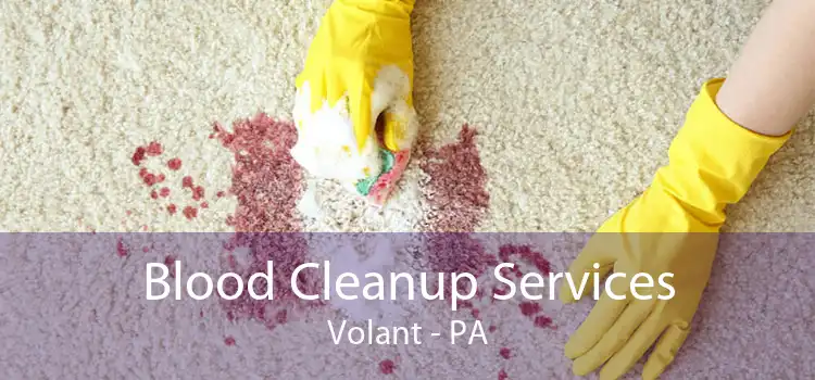 Blood Cleanup Services Volant - PA