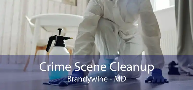 Crime Scene Cleanup Brandywine - MD
