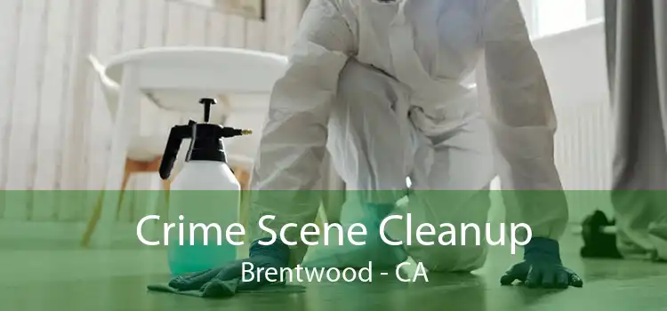 Crime Scene Cleanup Brentwood - CA