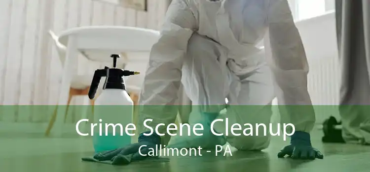Crime Scene Cleanup Callimont - PA