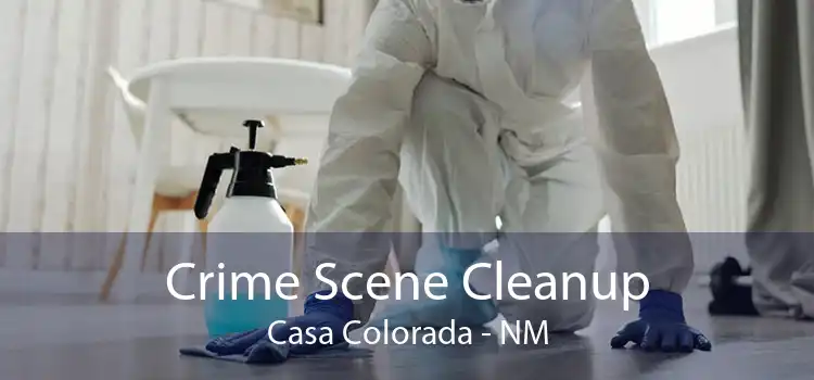 Crime Scene Cleanup Casa Colorada - NM