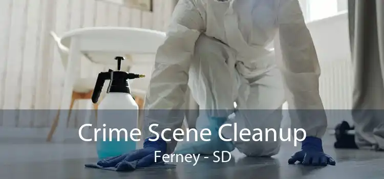 Crime Scene Cleanup Ferney - SD