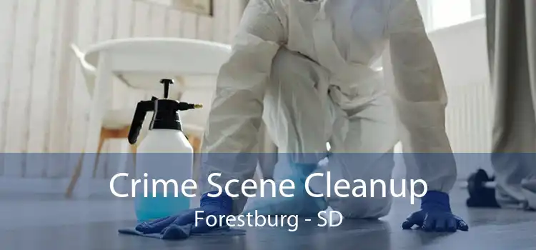 Crime Scene Cleanup Forestburg - SD