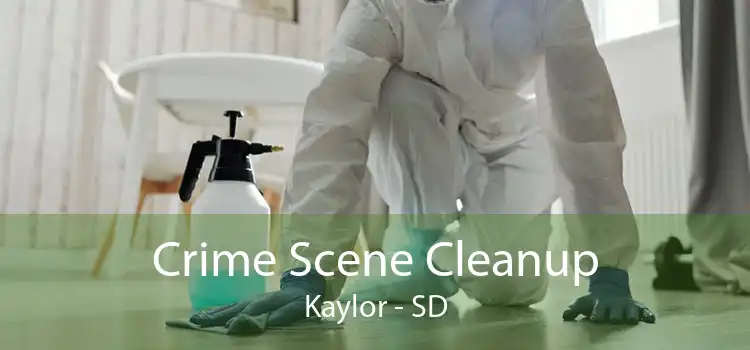 Crime Scene Cleanup Kaylor - SD