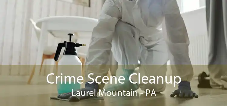 Crime Scene Cleanup Laurel Mountain - PA
