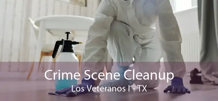 Crime Scene Cleanup Los Veteranos I - TX