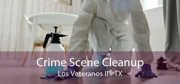 Crime Scene Cleanup Los Veteranos II - TX