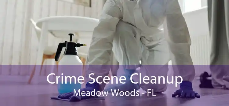Crime Scene Cleanup Meadow Woods - FL