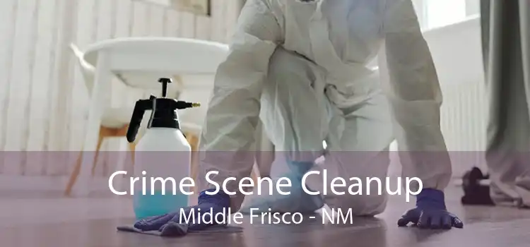 Crime Scene Cleanup Middle Frisco - NM